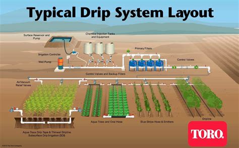 Design Vegetable Garden Irrigation System Subsurface Drip Irrigation ...