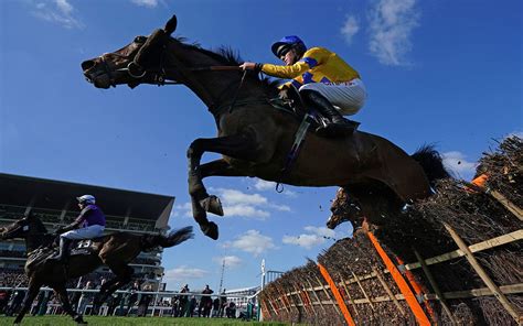 Cheltenham Gold Cup 2023 runners and riders: A horse-by-horse guide