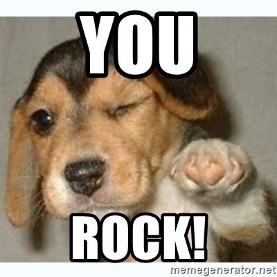 You, ROCK! - fist bump puppy - Meme Generator