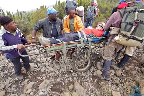 Mount Kilimanjaro Deaths : Statistics, Dangers & Safety - Climbing ...