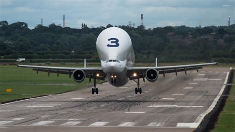 Airbus Beluga taking off wallpaper - Aircraft wallpapers - #50520