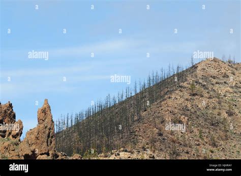 canary islands, volcanoes, teneriffa, volcanic, mountain, scenery ...