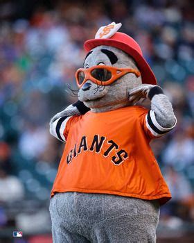 San Francisco Giants Mascot Picture at MLB Photos | San francisco ...