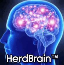 Herd Brain Herd GIF - Herd Brain Herd Brain - Discover & Share GIFs