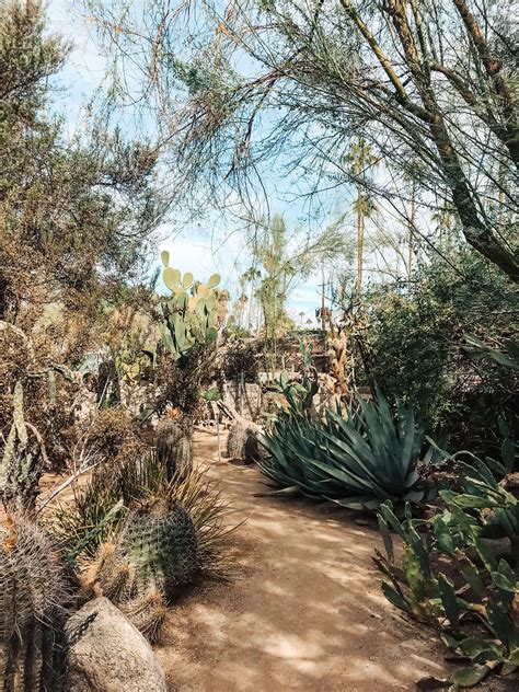 Photo Diary: Exploring Moorten Botanical Gardens in Palm Springs