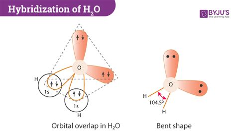 Hybridization of H2O (Water) - Hybridization of H and O in H20