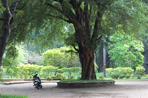 Of Curry & Customs: CMC COLLEGE CAMPUS