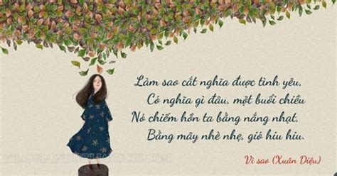 Thất ngôn bát cú đường luật là gì? Cách gieo vần, quy luật thơ 7 chữ