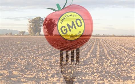 Monsanto's GMO Crops Are Secretly Destroying Farmland