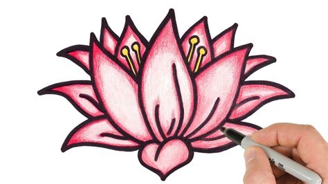 How to Draw Lotus Flower Step by step easy drawing for kids and ...