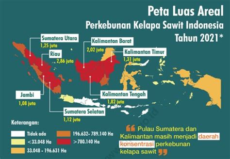 Ada 5 Daerah Penghasil Kelapa Sawit Terbesar di Indonesia. Mana Saja?