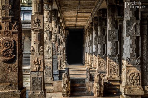 Pillars of Ekambareswarar temple | Temple, Ancient architecture, Pillars