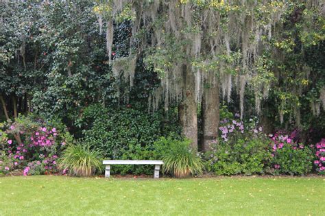 Where's Trevor: Gardens of Middleton Place - Charleston, South Carolina