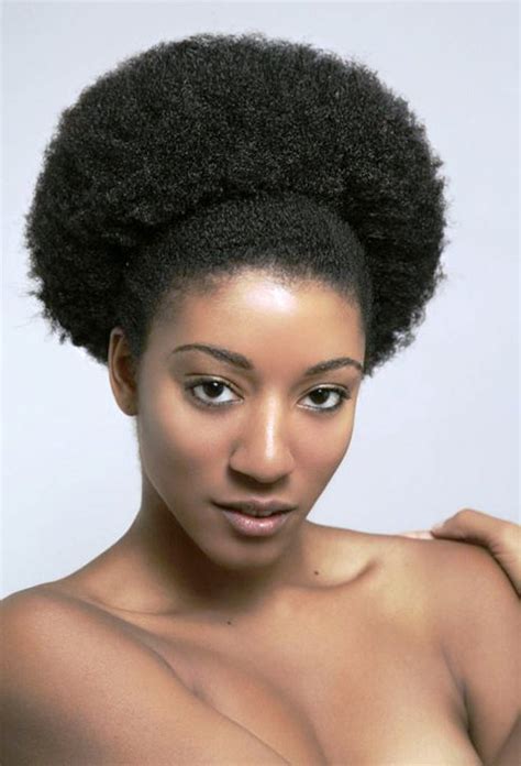 20 Afro Hairstyles For African American Woman’s - Feed Inspiration