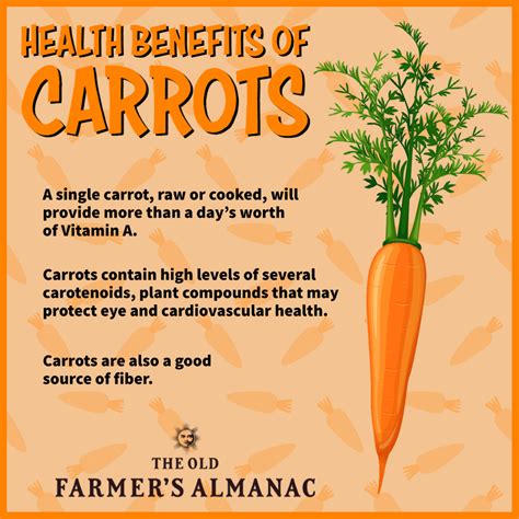 Carrots: Health Benefits | Almanac.com