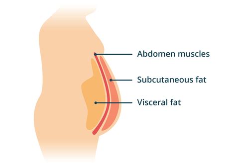 How to reduce visceral body fat (hidden fat) (2024)