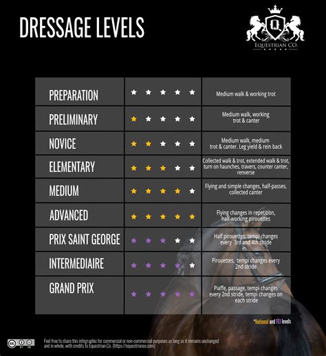 What Are Dressage Levels? Introductory to Grand Prix Explained!