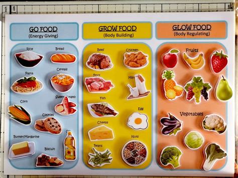 Go Grow Glow Foods Laminated Educational A4 Size(teacher Pher ...