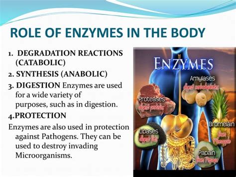 Enzymes