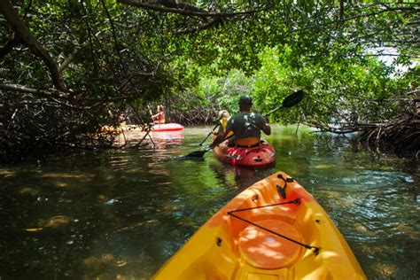 Okefenokee Swamp Tours Georgia | Cumberland Palms