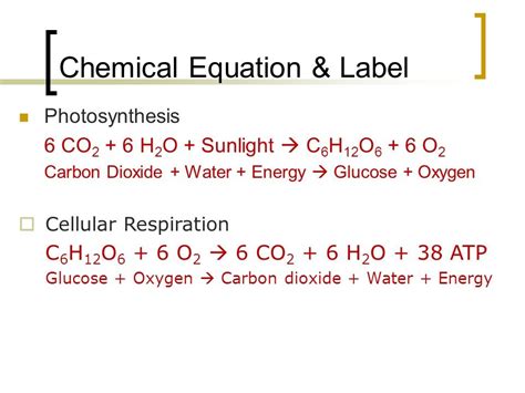 Cellular Respiration 2 Diagram | Quizlet