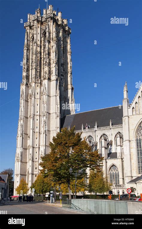 Saint Rumbold's Cathedral Tower in Mechelen, Belgium Stock Photo - Alamy