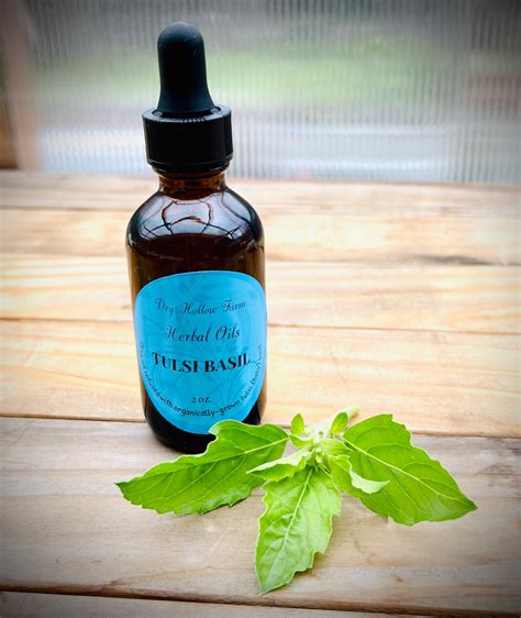 Tulsi (Holy) Basil Oil — Dry Hollow Farm