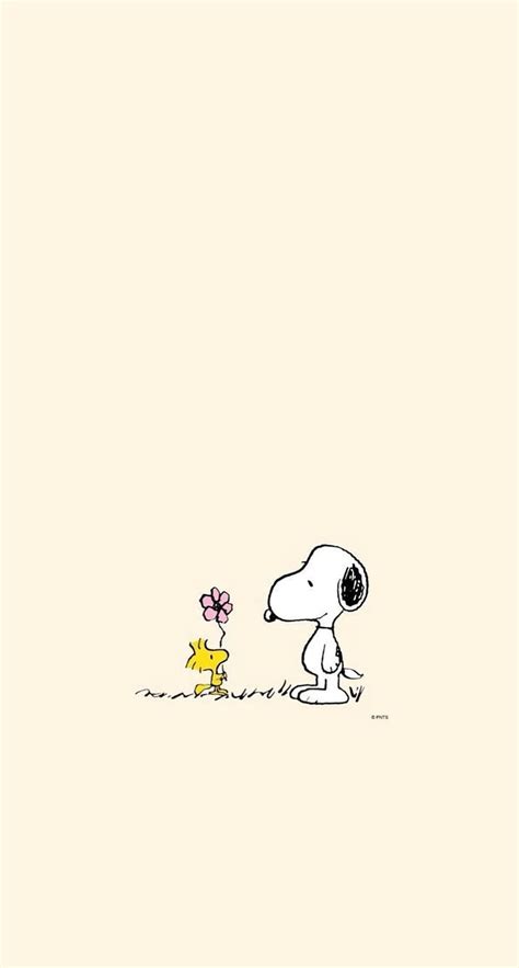 Share more than 92 snoopy and woodstock wallpaper latest - in.coedo.com.vn