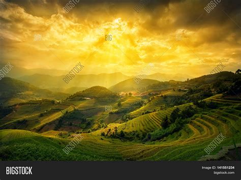 Rice Fields On Image & Photo (Free Trial) | Bigstock