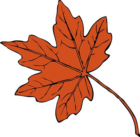 Leaf Orange Isolated · Free vector graphic on Pixabay