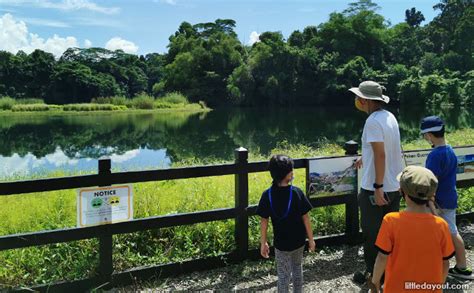 Pekan Quarry At Pulau Ubin: Visiting The Former Ho Man Choo Quarry ...