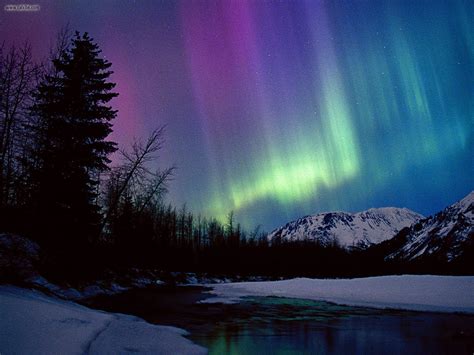 Nature: Northern Lights Over Portage River Valley Alaska, picture nr. 21658