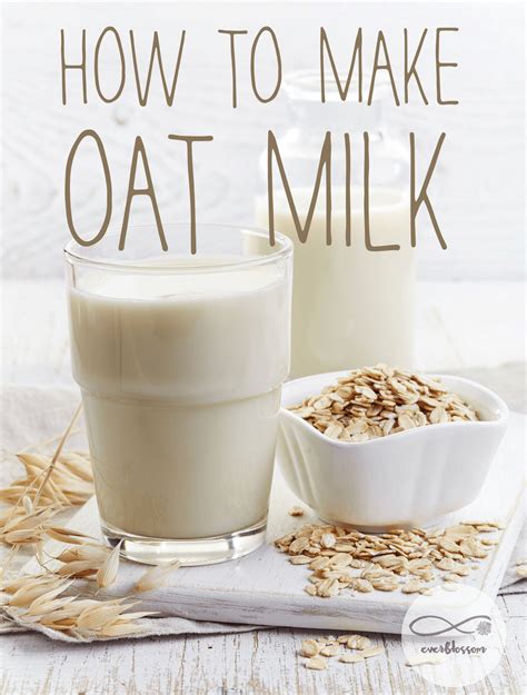 Easy DIY Oat Milk Recipe » Everblossom