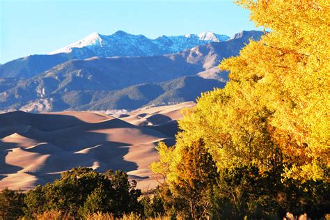 11 FASCINATING Facts About Great Sand Dunes National Park