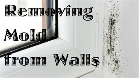 How Do I Clean Mold Off My Bathroom Walls - Artcomcrea