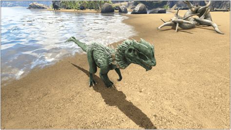 Ark Dilophosaur Guide (Abilities, Taming, Food, Saddle, Breeding, Drops ...