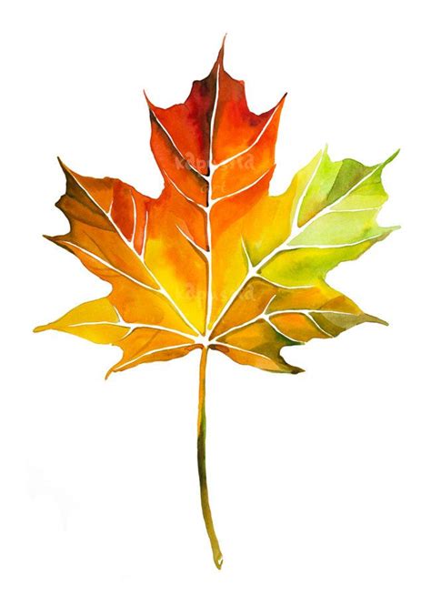 Maple Leaf Art - DIY