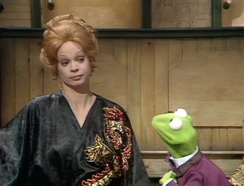 Muppet Show guest stars who did not sing | Muppet Wiki | FANDOM powered ...