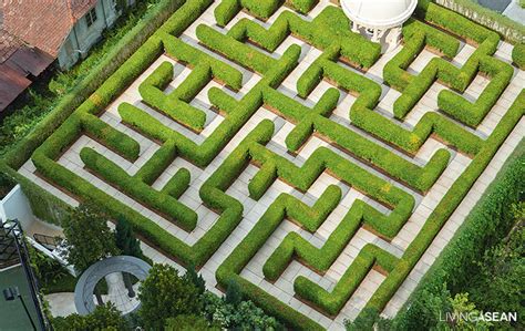 Amazing Maze Garden / Enjoy a Walk in the Garden Maze