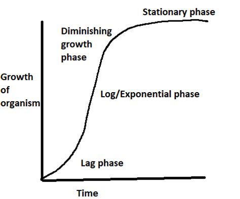 Sigmoid Population Growth Curve