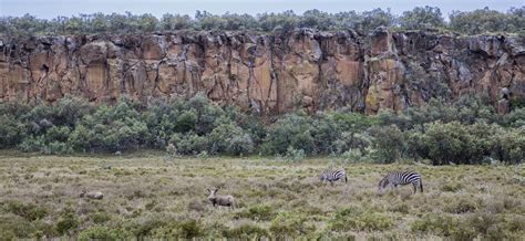 Things to Do on a Day Trip to Hell's Gate National Park in Kenya ...