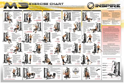 clipsuper.com Weider Home Gym Exercise Chart | Workout chart, Gym ...