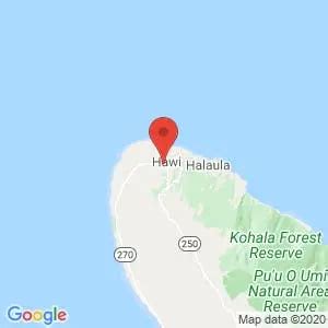 RV Rentals near Mahukona Beach Park in Hawi, Hawaii