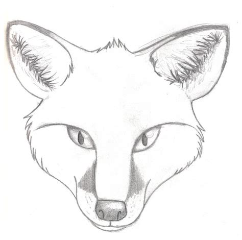 Realistic Fox Head Drawing Images & Pictures | Sketches, Fox coloring ...