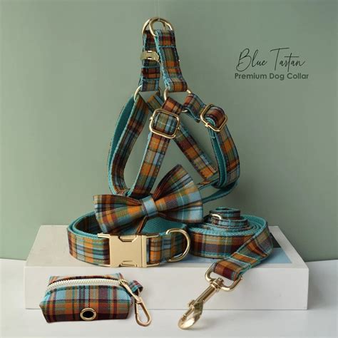 Personalized Engraved Tartan Dog Collar or Leash Set, Step-in Boy Puppy ...