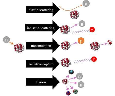 Interactions of neutrons with matter where "n" represents a neutron ...