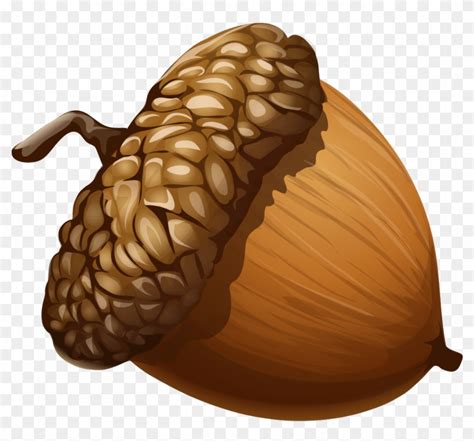 Acorn Clipart 1 Nice Clip Art - Acorn Png - Free Transparent PNG ...