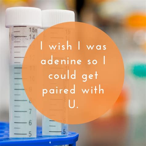 Chemistry Pick up lines | Text & Image Quotes | QuoteReel