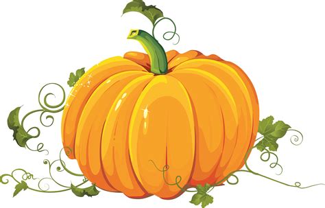 Pumpkin Clipart Transparent Background - cyberuse