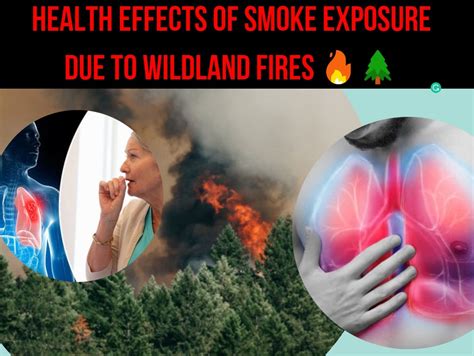 Health Effects of Smoke Exposure Due to Wildland Fires